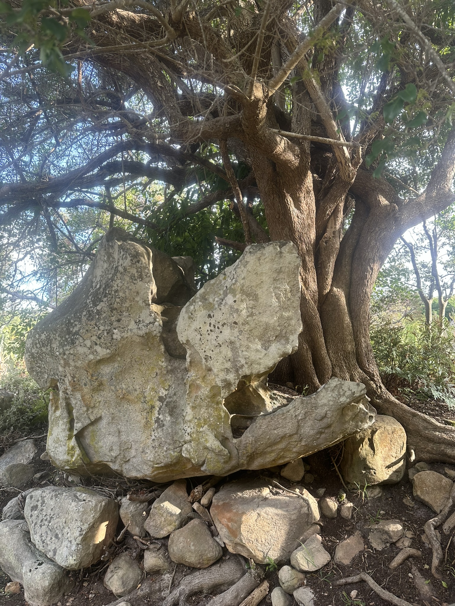 South Africa - Image 758